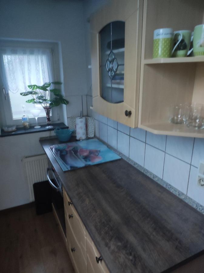 Kleine Gemuetliche Wohnung ซวิคเคา ภายนอก รูปภาพ